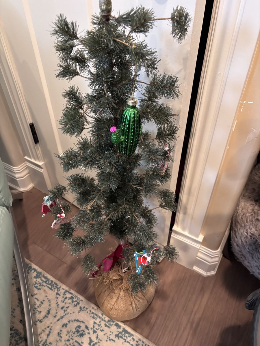 Wrong season right price! READ DESCRIPTION