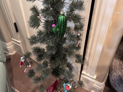 Wrong season right price! READ DESCRIPTION