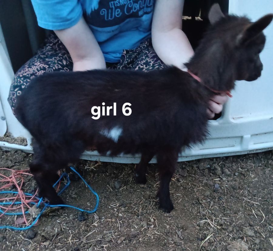 Main image 6