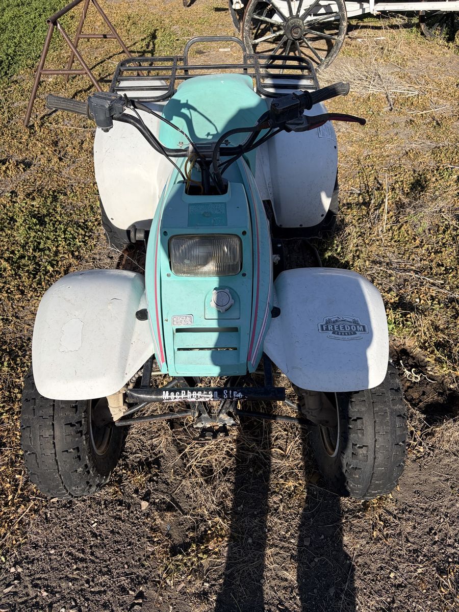 Polaris Trail Blazer 250 ATV - Teal/White 2x4 Quad