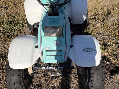 Polaris Trail Blazer 250 ATV - Teal/White 2x4 Quad