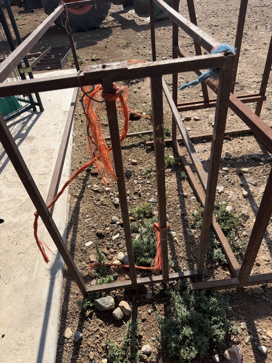 Goat & Sheep head catch and stand
