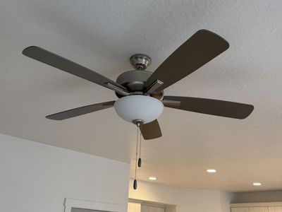 Ceiling Fans