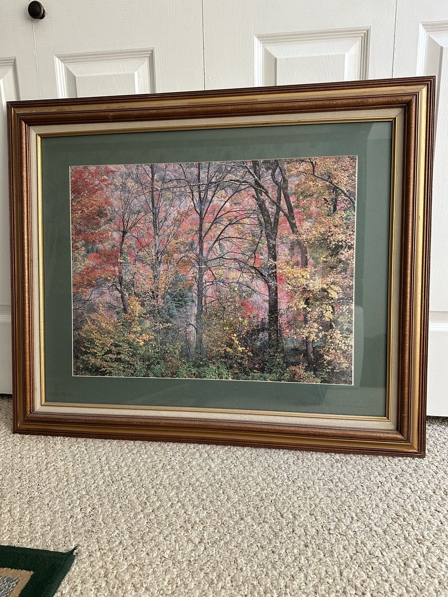 Framed Art Work.