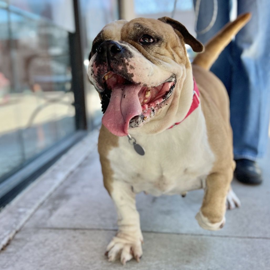 Hello my name is Hilda