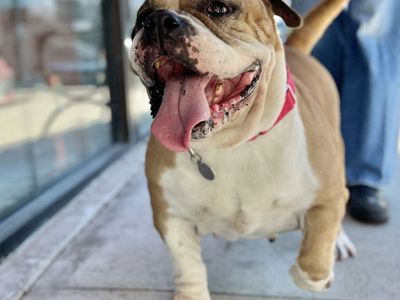 Hello my name is Hilda