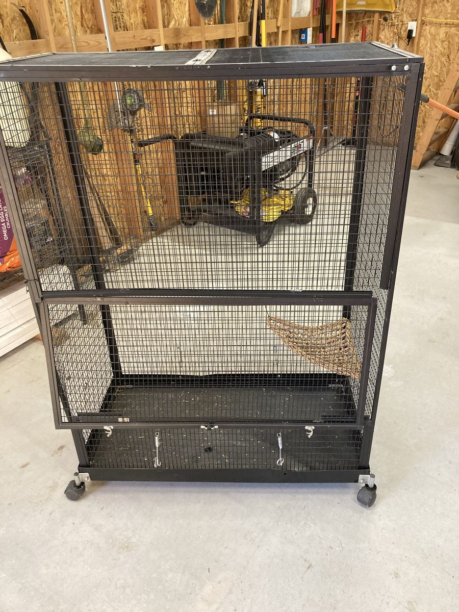 Iguana cage