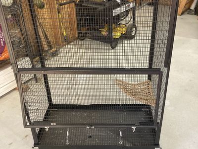Iguana cage