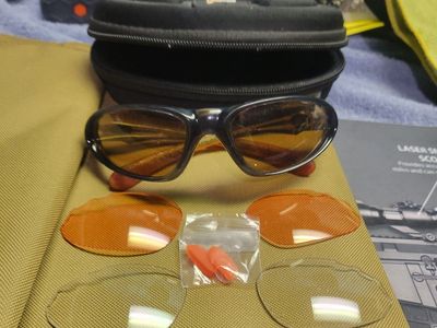 Dragon Sunglasses