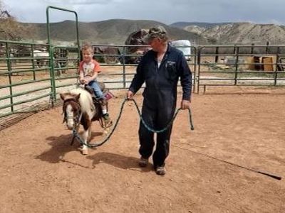 Mini horse/ Cart,harness and tack