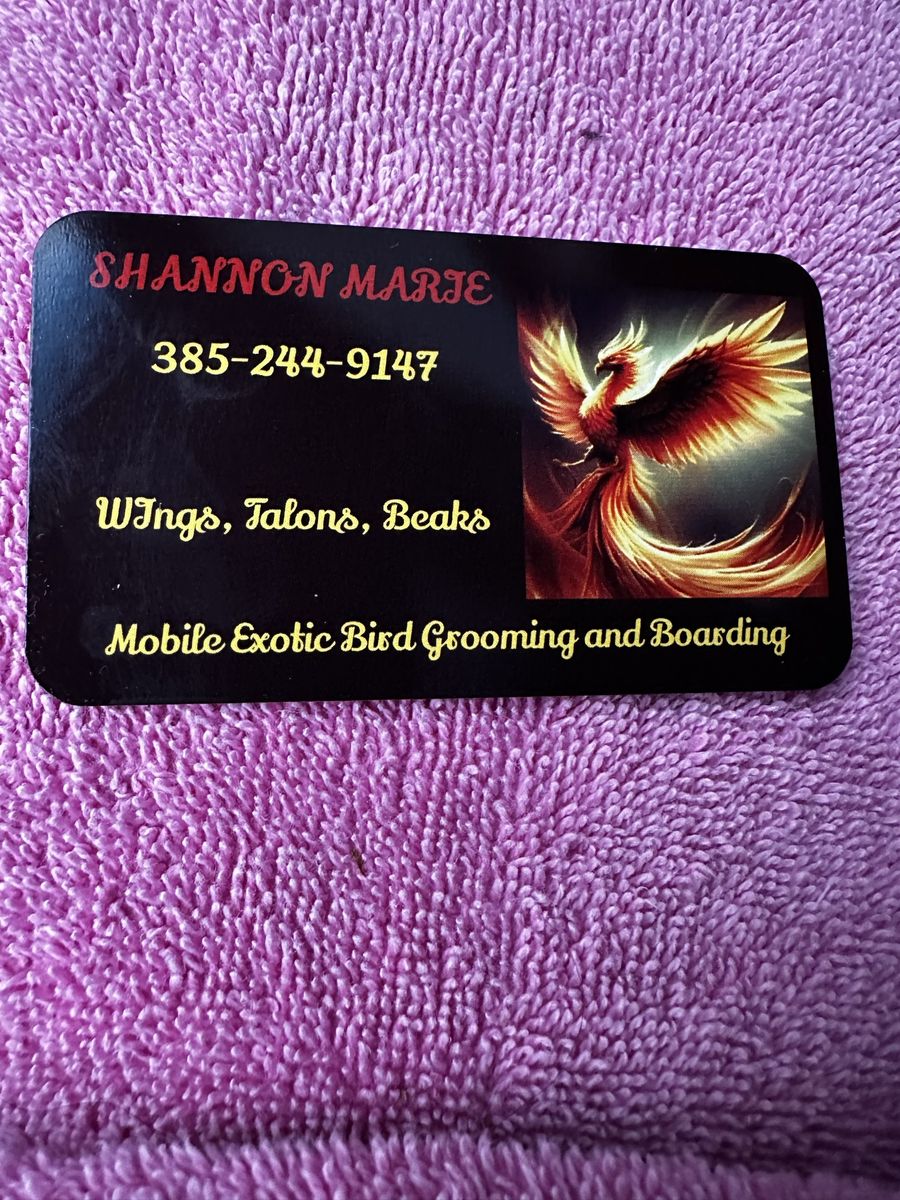 Shannon Marie: Mobile Exotic Bird Grooming & Boarding - Vet Recommended, 20+ Yrs Exp.
