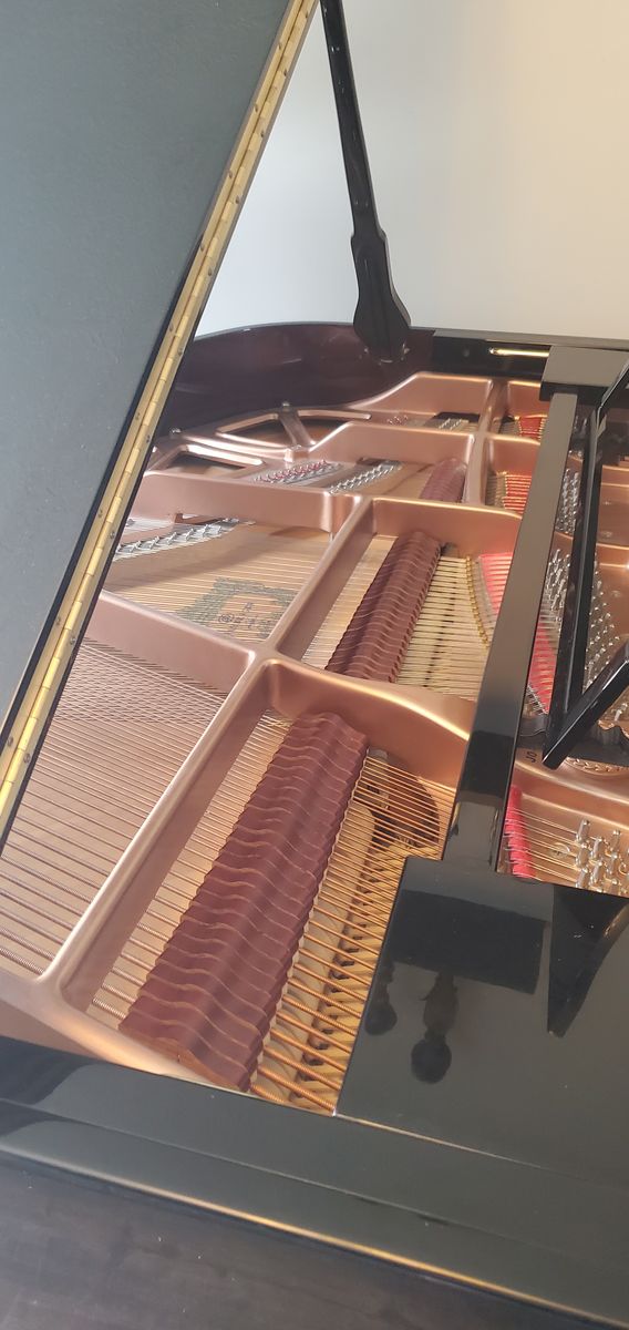 BEAUTIFUL SOUND Pramberger JP185 Black Grand