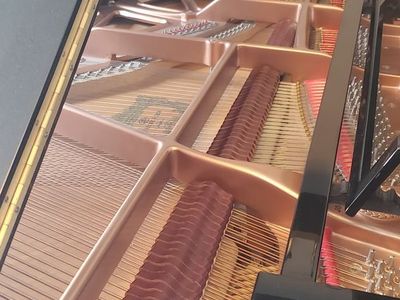 BEAUTIFUL SOUND Pramberger JP185 Black Grand