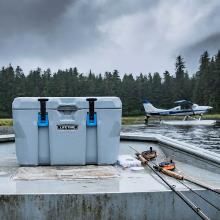 Lifetime Factory Second 55qt Cooler