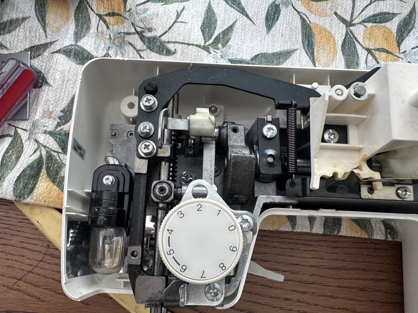 Main image 5
