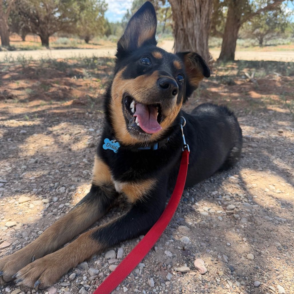 Hello my name is Dixie