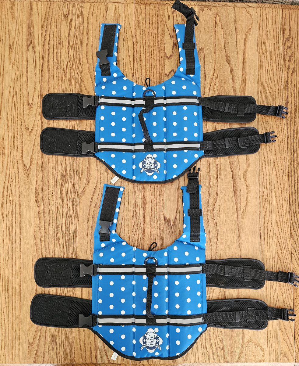 Paws aboard life jackets for dogs