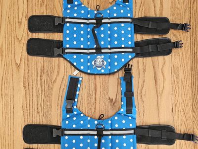 Paws aboard life jackets for dogs