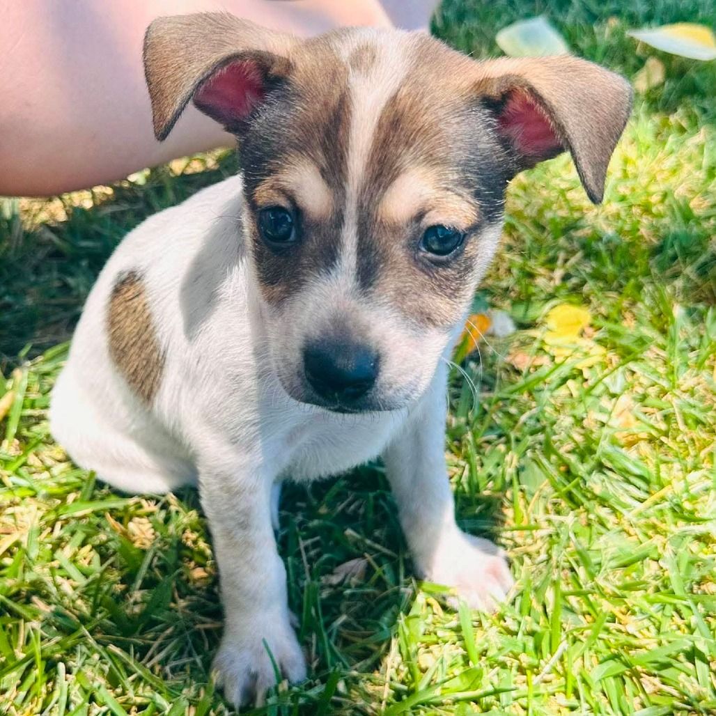 Hello my name is Winslow