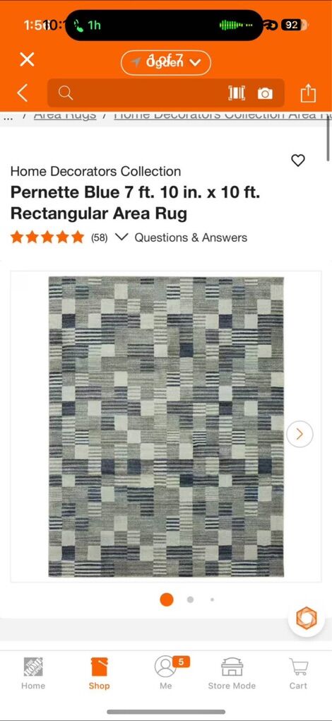 Home Decorators Pernette Blue Area Rug 8'x10'