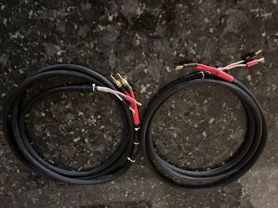 Pair of (2x) Monster Z series 10ft(3m) x 2 speaker cables