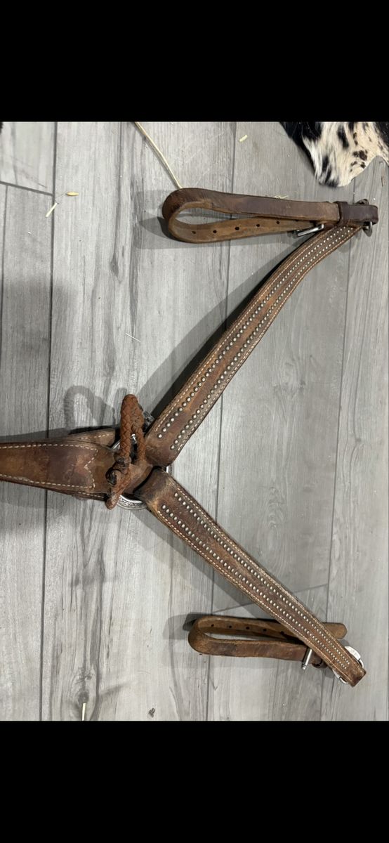 Horse tack!!
