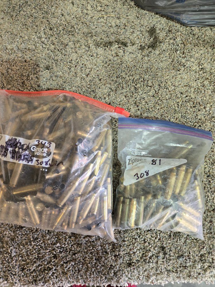 308 brass casings