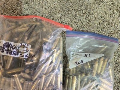 308 brass casings