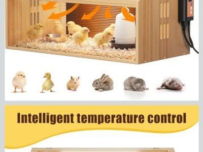 Wooden Brooder Box