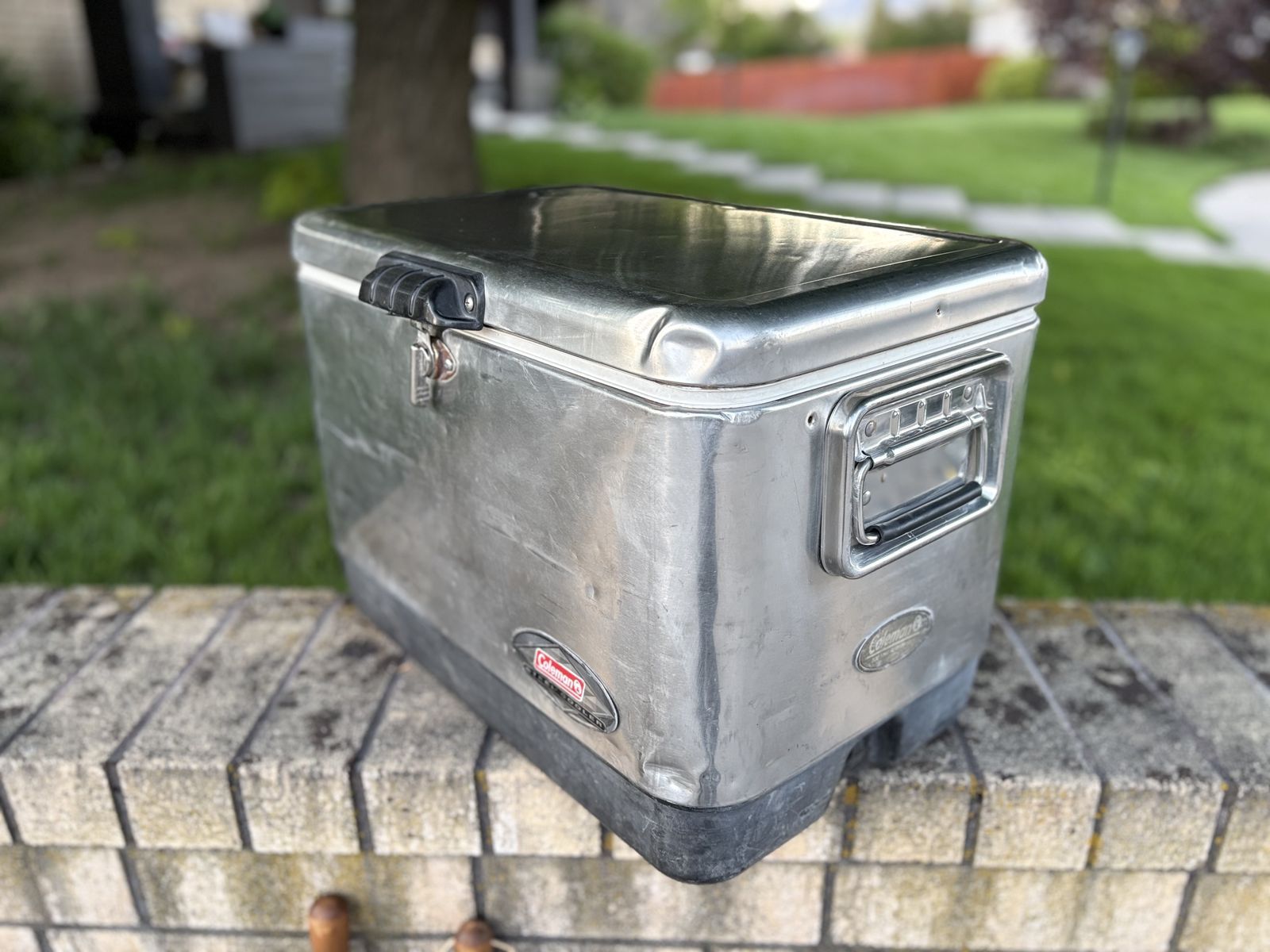 Coleman 54 quart steel belted camping cooler
