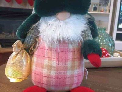 Brand new Gnome from Nordstrom Rack