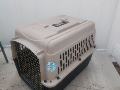 Pet Transportation Case