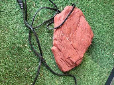 Reptile heat rock