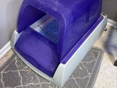 Automatic Cat Box