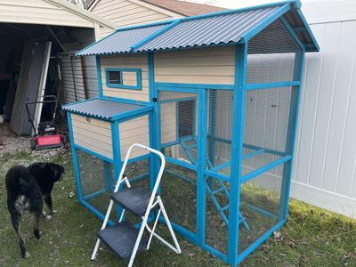 Brand New Chicken Coop