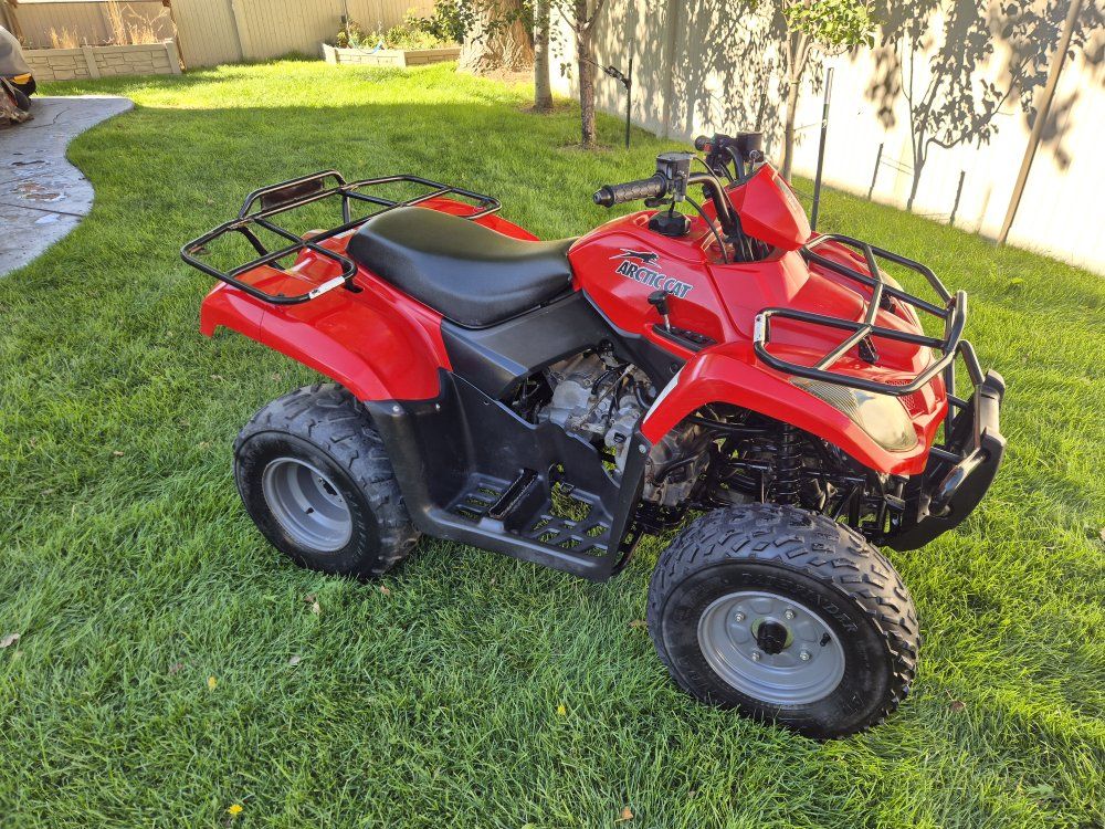 Arctic Cat 250 Automatic 
