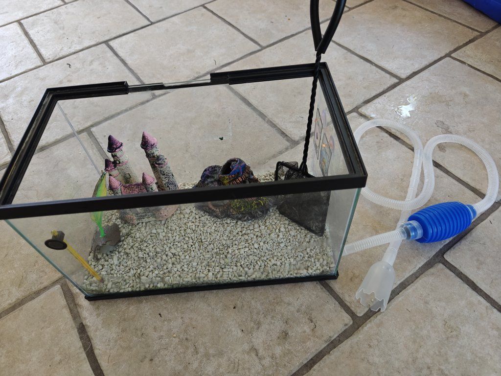 Betta Fish Tank