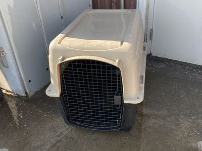 Large Dog Kennel / Crate
