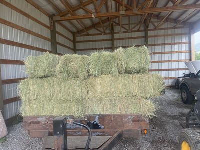 Grass hay