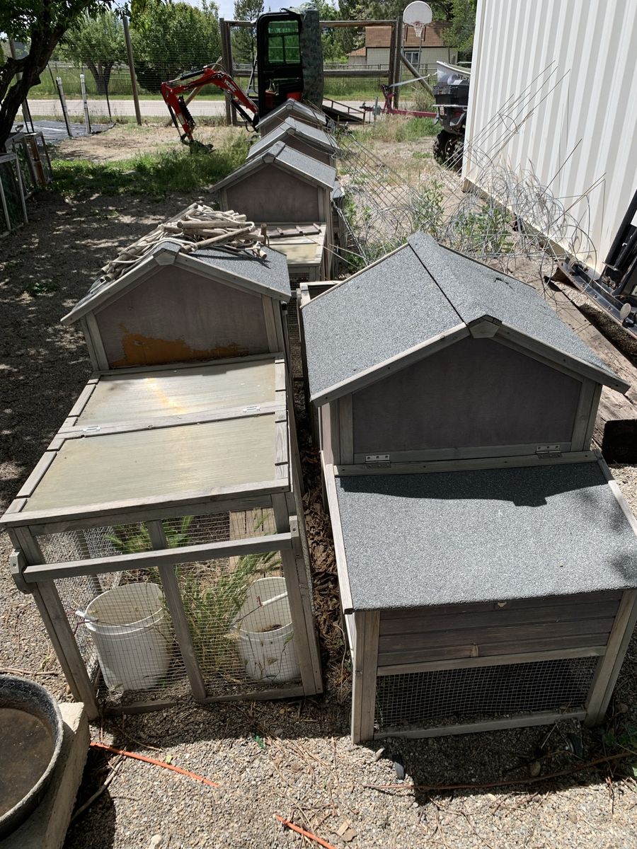 CHICKEN TRACTORS & COOPS – ENTIRE LOT – $1,250 OBO