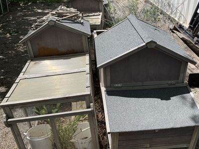 CHICKEN TRACTORS & COOPS – ENTIRE LOT – $1,250 OBO