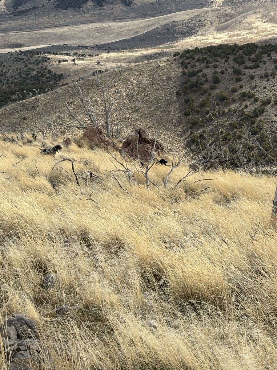 Main image 5