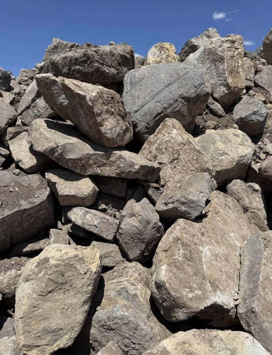 Main image 4