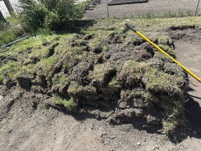 Free Sod / Dirt