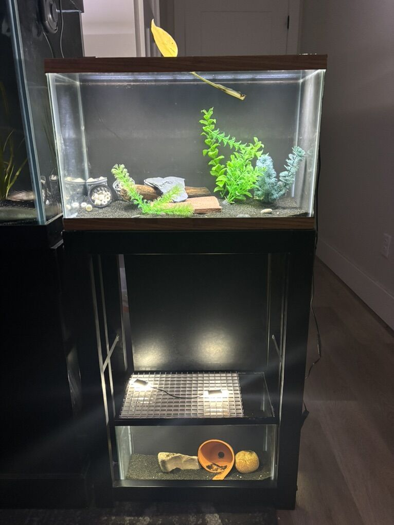 10gallon,5gallon,stand and lights