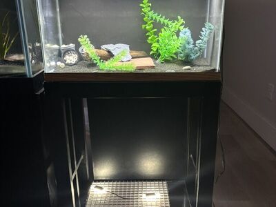 10gallon,5gallon,stand and lights