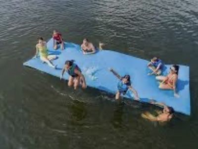 Floatation IQ Lily Pad