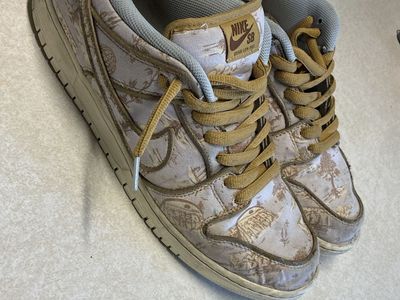 Nike SB Dunk City of Style men's size 11