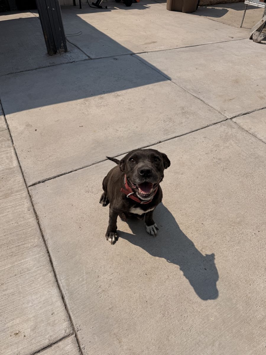 Main image 16