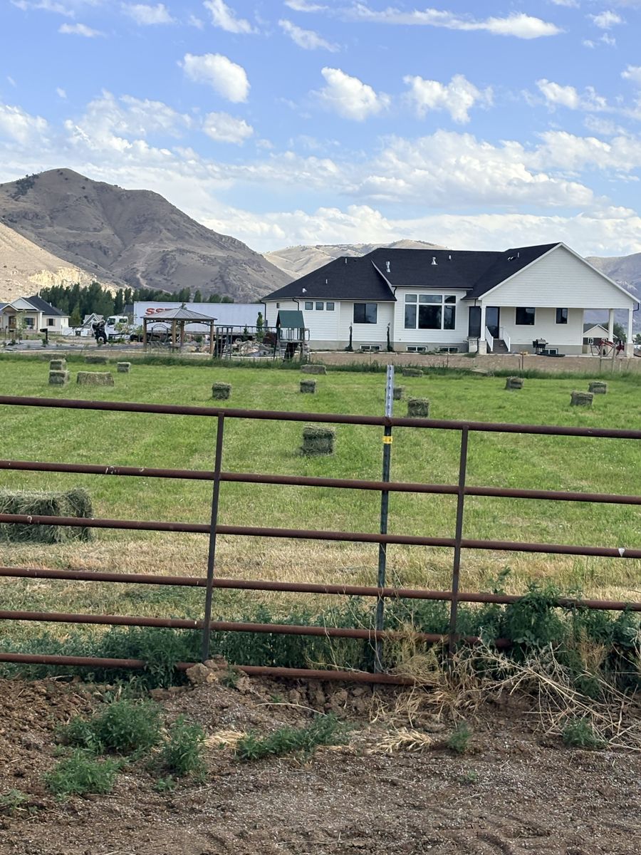 Pasture grass hay